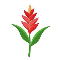 Red flower with green leaves on a white background vector