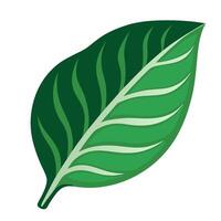 A green leaf icon on a white background vector