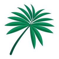 Palm tree illustration vector