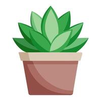 Succulent plant in pot on white background vector