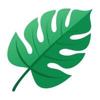 A green monstera leaf icon on a white background vector