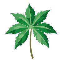 A green palm tree with leaves on it vector