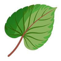 A green leaf with a red stem on a white background vector