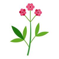 A pink flower with green leaves on a white background vector