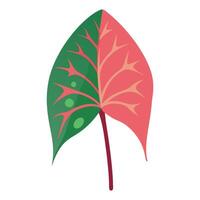 A leaf with a green and pink color vector