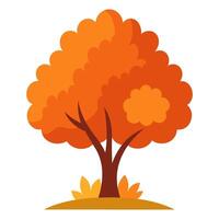 Autumn tree illustration vector