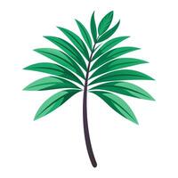 Palm tree illustration vector