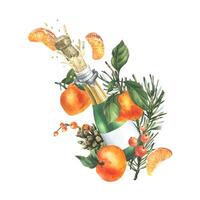 A bottle of champagne with splashes and a flying cork, a pine branch and cones, tangerines and decorative berries. Watercolor illustration, hand drawn. Isolated composition on a white background. vector