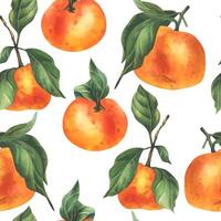 Orange tangerines with green branch and leaves, citrus tropical fruit. Watercolor illustration, hand drawn. Seamless pattern on a white background vector