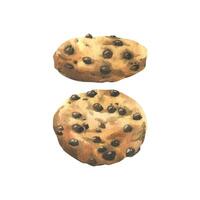 Homemade cookies with chocolate chips. Watercolor illustration, hand drawn. Set of isolated elements on a white background. vector