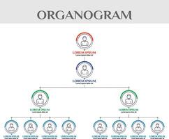 Department Organogram System Organization Chart vector