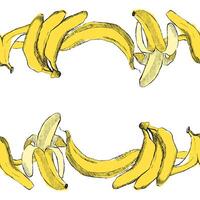 Frame horizontal border made of graphic bananas. illustration isolated on transparent background. vector