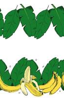 Amazon tropical leaves seamless pattern horizontal border frame. illustration. Rainforest foliage template border frame. Jungle plants repeated banner. vector