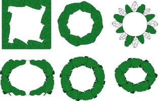 Tropical leaves frame set. Cartoon graphic illustration of rainforest banner set for web design vector
