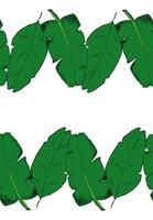 Tropical leaf seamless border frame pattern horizontal. Floral design background. illustration in graphic vector