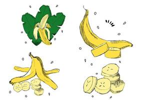 Banana composition in graphic Set. bunch of bananas, open banana cut in half, slices . Juicy fresh and yellow Tropical fruit, banana snack or vegetarian food. illustration Isolated on white background vector
