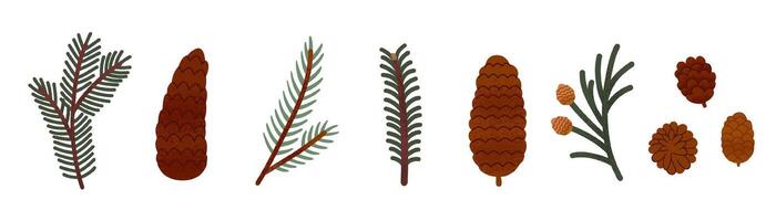 Evergreen Fir and Pine Branches and Pinecones Set vector