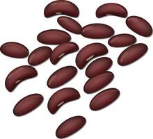 A bunch of red beans on a white background vector