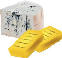 A block of cheese and a piece of cheese vector
