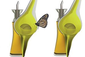 A butterfly is on a bottle of oil vector