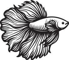 Big Tail Betta Splendens Fish Illustration. vector