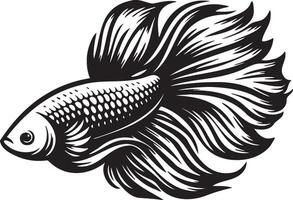 Hand Drawn Betta Splendens Fish Swimming Illustration. vector