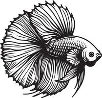 Hand Drawn Betta Splendens Fish Illustration. vector