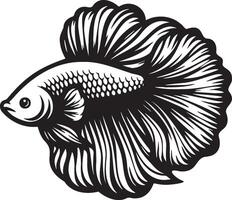 Side View of Betta Splendens Fish Illustration. vector