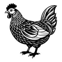 hen and chicken isolated on white background vector