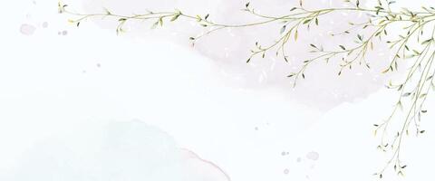 Abstract background with watercolor botanical leaves branches on stains vector