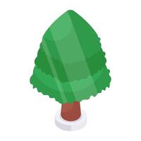A isometric design icon of pine tree vector