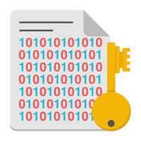 A colored design icon of binary file key vector