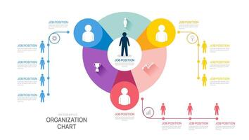 organization chart Infographic template for with business avatar icons. illustration. vector