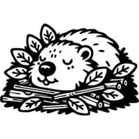 Beaver sleeps in a hole on dry bedding in monochrome. Simple minimalistic image in black ink drawing on white background vector