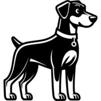 Young doberman dog ready for training in monochrome. Simple minimalistic image in black ink drawing on white background vector