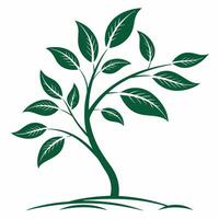 A green tree with leaves on it vector