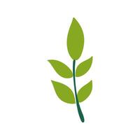 A green leaf icon on a white background vector
