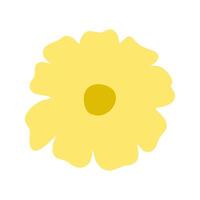 A yellow flower is shown on a white background vector