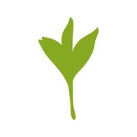A green leaf is shown on a white background vector