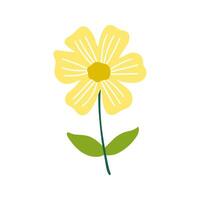 A yellow flower with green leaves on a white background vector