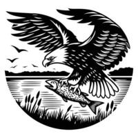 Eagle hunt fish by its leg water at daily vector