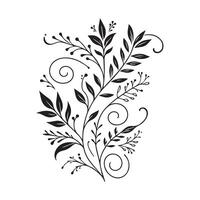 Decorative divider line a creativity simple single thin Leafy Vine Divider Line element white background vector