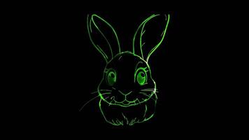 Neon frame effect, bunny with floppy ears and a smiling face on black background video