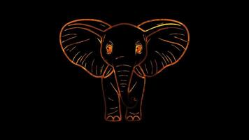 Neon frame effect, whimsical elephant with big ears and a trunk on black background video