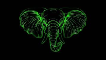 Neon frame effect, whimsical elephant with big ears and a trunk on black background video