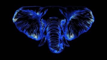 Neon frame effect, whimsical elephant with big ears and a trunk on black background video