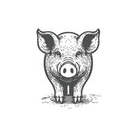 Farmhouse Style Hand Drawn Pig - Perfect for Rustic Designs vector