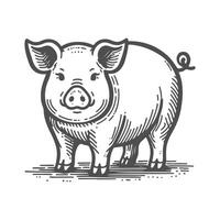 Rustic Hand Drawn Pig Illustration vector
