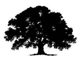 Black Trees and root with leaves look beautiful and refreshing. Tree and roots LOGO style. vector