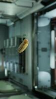 marinated pickled cucumber floating in internation space station video